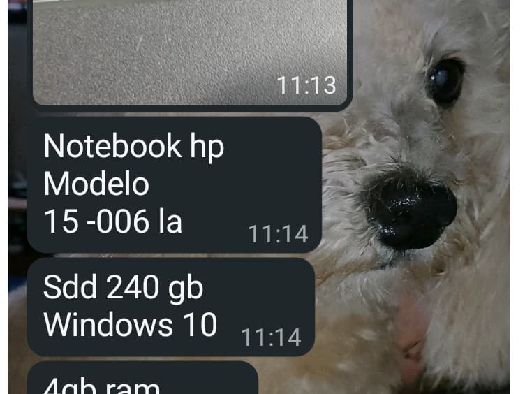 Computadora